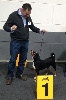 - Luxembourg 92th International Dogshow avec Appie