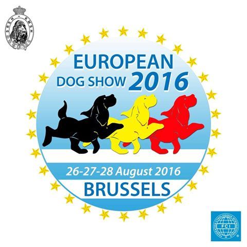 De La Garde Suisse - Championnats d'Europe 2016