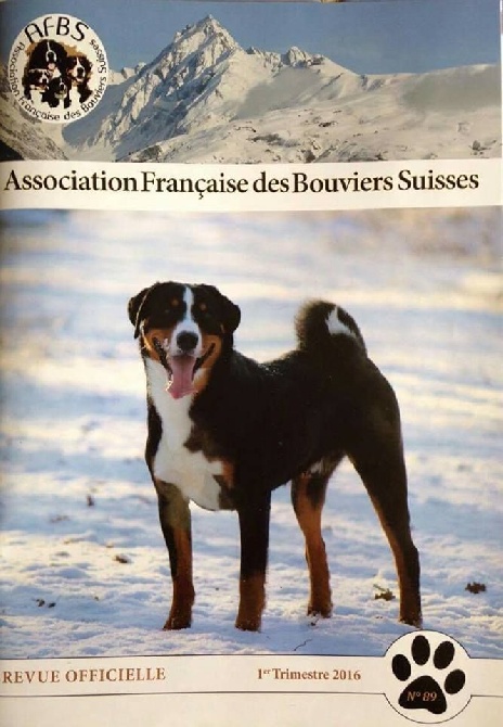 De La Garde Suisse - Héros fait la couverture de la revue de l'AFBS