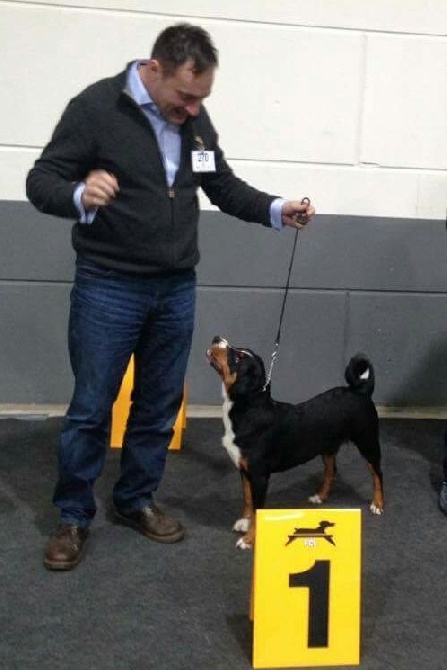 De La Garde Suisse - Luxembourg 92th International Dogshow avec Appie