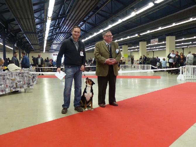 De La Garde Suisse - Paris Dog Show avec Appie