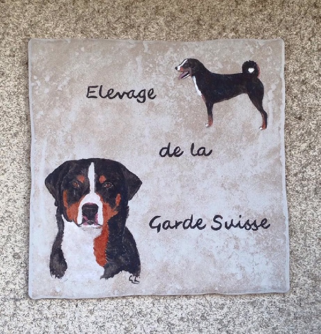 De La Garde Suisse - Bilan 2016