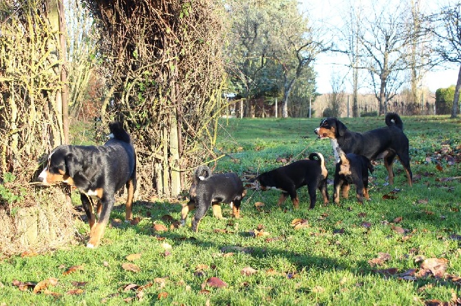 De La Garde Suisse - Expédition familiale dans la propriété