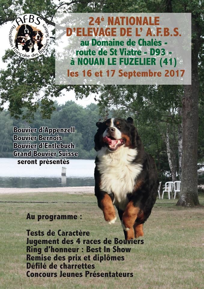 De La Garde Suisse - NE AFBS 2017