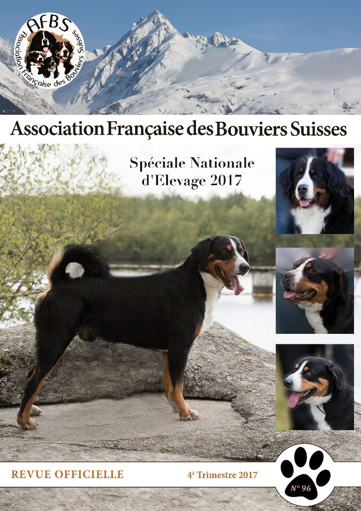 De La Garde Suisse - Revue de l'AFBS