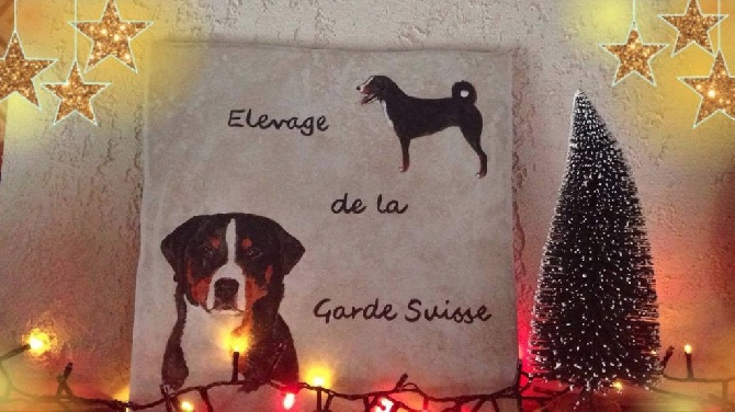 De La Garde Suisse - Bonne année 2017
